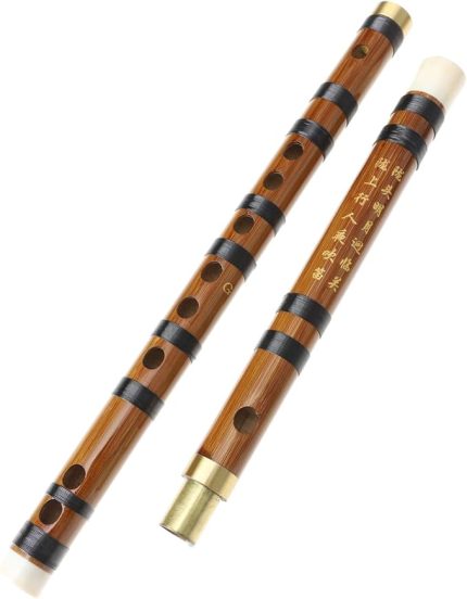 Çin Flütü Taşınabilir Ve Sağlam Ayrılabilir Dizi Başlangıç ​​öğrenme Çantası