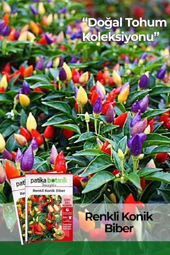 61xjOQmq2BL._AC_SY879_