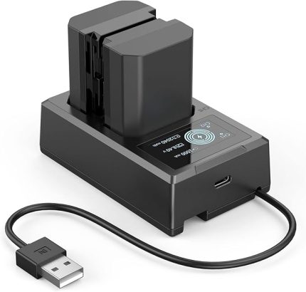 2 Pack NP-FZ100 Battery and Charger Kit 2040mAh, Dual Charger with USB-C Port for Sony FX3, FX30, A7 III, A7S III, A7 IV, A7R IV, A7C, A7C R, A7C II, A9, A9 II, ZV-E1, A6700-3824