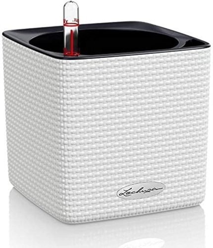 Cube Color 14 beyaz 13380