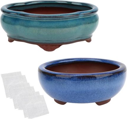 Bonsai Saksı 12,4 cm 14,5 cm 2 adet Küçük Etli Sırlı Saksılar + 6 Yumuşak Fileli Drenaj Ekranı