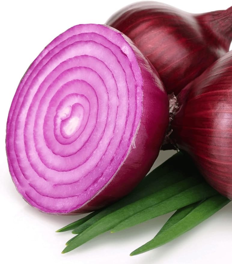 715jyWxMAGL._AC_SY879_