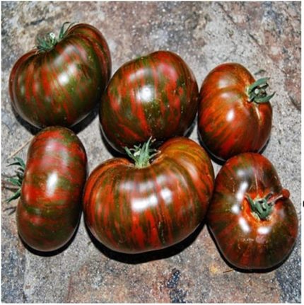 Adet Dev Kahverengi Domates Tohumu