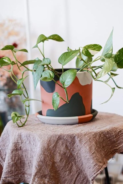 Saksı Yeşil 13.5x15.5cm + Tabak