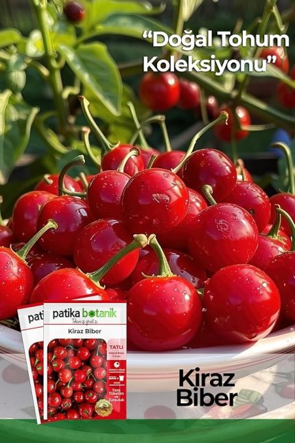 Botanik 200 Adet Kiraz Biber Tohumu (Tatlı)