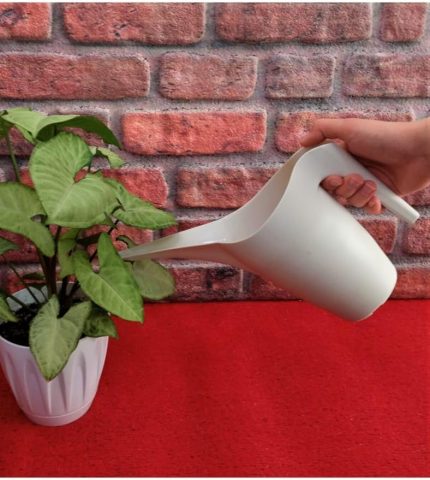 Kabı 1 Litre Krem Sulak Sulama Kapları Çiçek Sulama Bidonu Çiçek Fidan Bitki Sulama Kabı