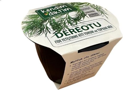 Bitkileri Tohum Seti (Dereotu)