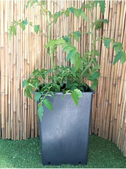 Kare Saksı 15 Adet 15 Lt 23,5X33 Cm Üretim Saksısı Siyah Saksı Kare Üretim Saksı Plastik Saksı
