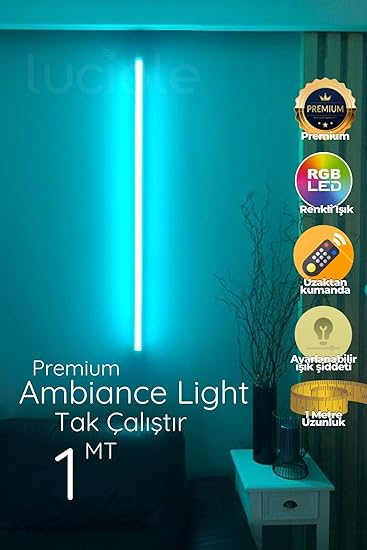 71OTXwNf00L._AC_SY550_