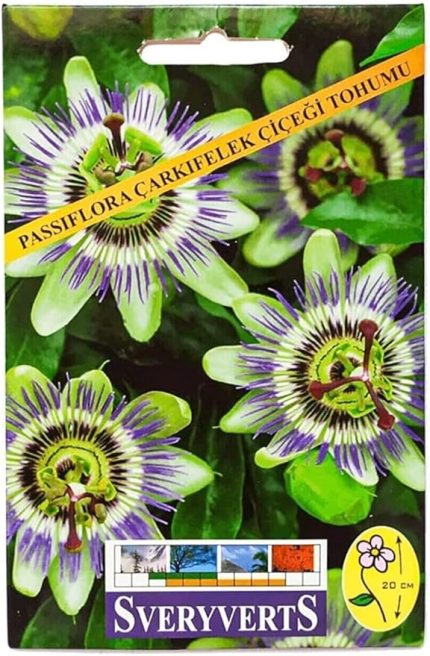 Passiflora Çarkıfelek Çiçeği Tohumu