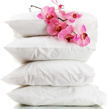 SILK%100 Saf İpek Dolgulu Yastık (50 cm * 70 cm) 1 Adet