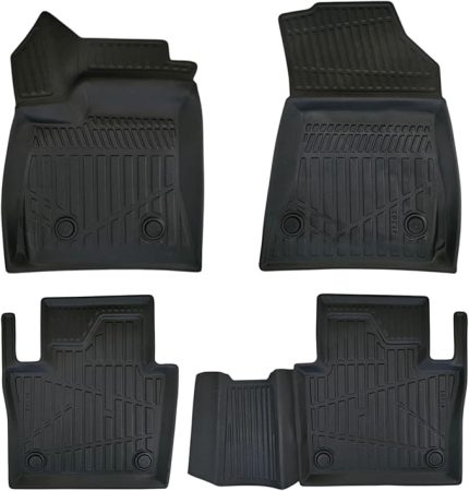 PASPAS ARACA ÖZEL (EP200 RENAULT RAFALE 2024+ 3D Havuzlu Paspas)