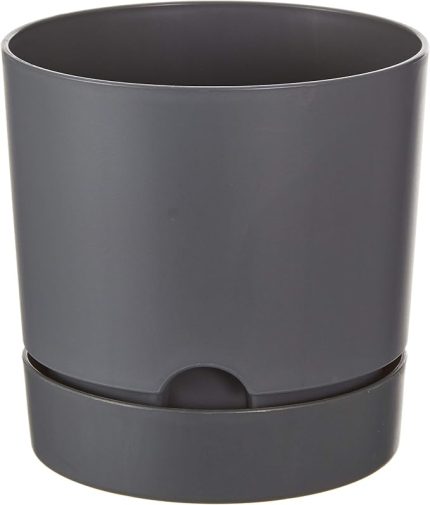Begonya 15, 1.8 Litre