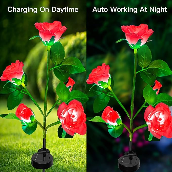 71ky-N8Sc9L._AC_SX679_