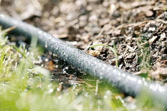 71p12-YcdVL._AC_SX569_