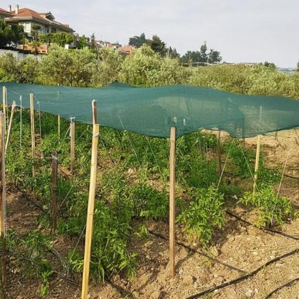 Gölgelik File -%40'lık Gölgeleme - Kenarları Düz - Bahçe ve Kümes Çevirme Filesi - 1,5 M x 2 M