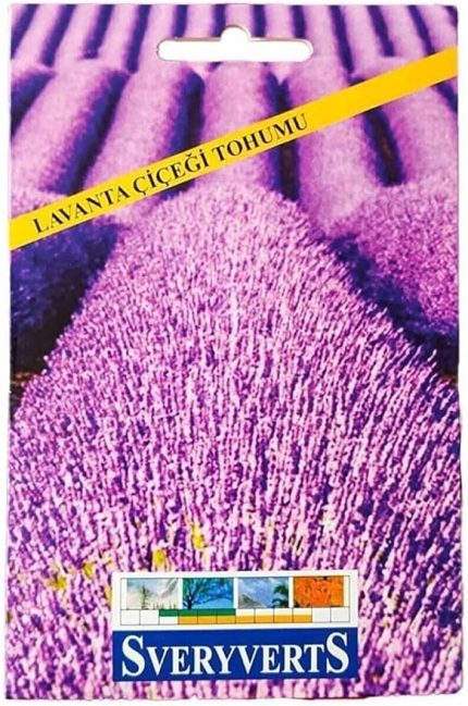 Lavanta Çiçeği Tohumu