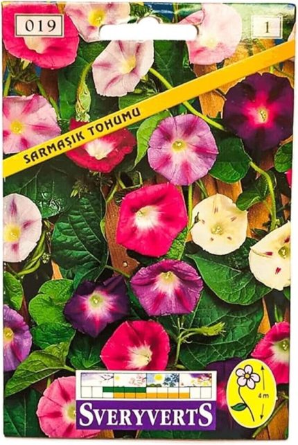 Çiçekli Sarmaşık Tohumu