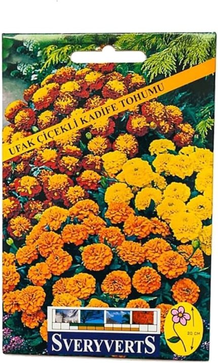 Ufak Çiçekli Kadife Tohumu