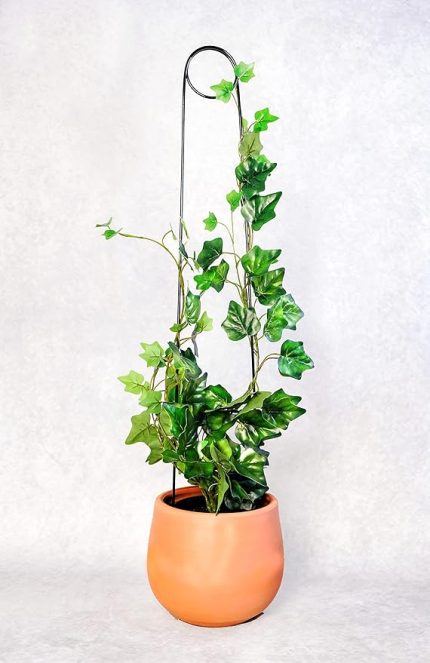 Destek Çubuğu – Siyah Metal Kancalıiğne Model, 65 cm, Sarmaşık ve Büyük Yapraklı Bitkiler İçin