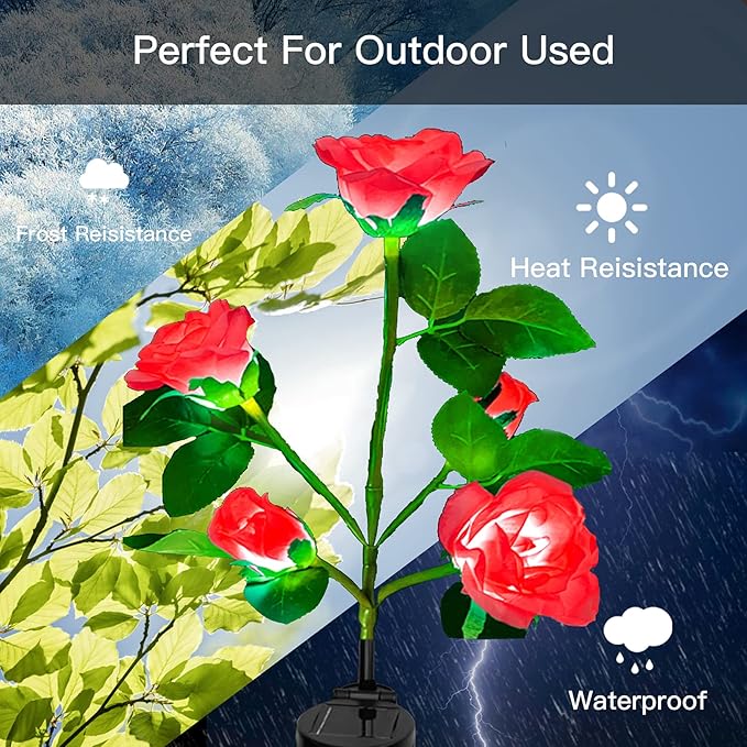 811-s2AJ9pL._AC_SX679_