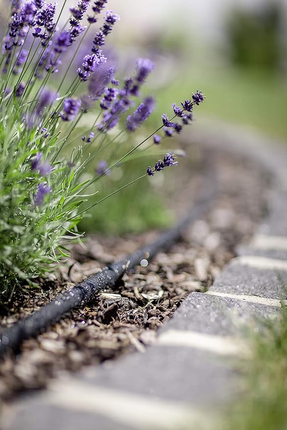 81YcG0LZJBL._AC_SY879_