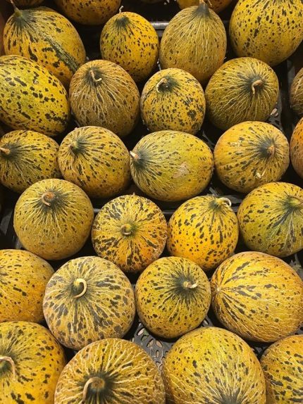 Garden Doğal Kışlık Kavun Kırkağaç (637) 100 Ad. Tohum