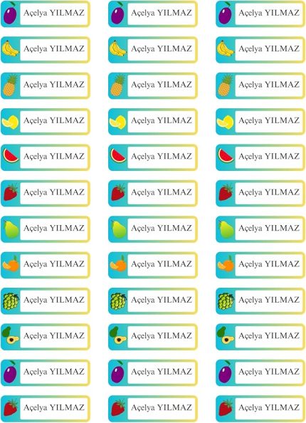 Isimli Okul Etiketi Defter Kitap Kalem Sticker (5x1.5 cm) 100 Adet (Meyve)
