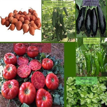 Organik 6 Paket Tohum No18 Arpacık Soğan 1 Kg. Iska Hibrit Salatalık Patlıcan Köy Domatesi Biberi Tohumu