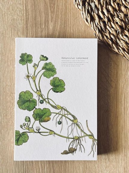 Tanıtım Özel Tasarım BaskılıKapaklı A5 Kareli Not Defteri - 180 Derece Açılabilir, Sırtı Dikişli,%100 El İşçiliği, Ofis İçin İdeal, Planlayıcı (Ranunculus Lenormand Kapak Tasarımı)
