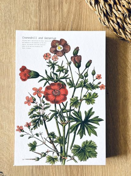 Tanıtım Özel Tasarım Baskılı Kapaklı A5 Kareli Not Defteri - 180 Derece Açılabilir, Sırtı Dikişli,%100 El İşçiliği, Ofis İçin İdeal, Planlayıcı (Cranesbill and Geranium Kapak Tasarımı)