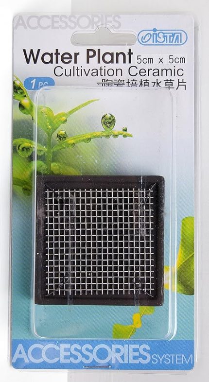 Bitki Taban Seramik 5 Cm Kare