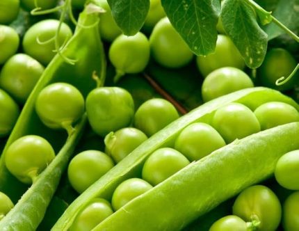 Bezelye Tohumu Araka