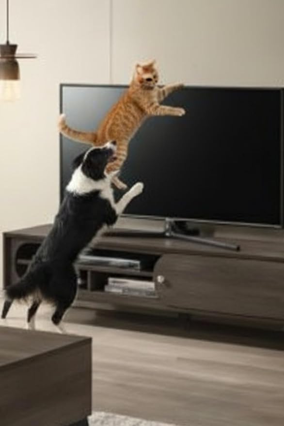 Led TV Askısı Dolap Gardırop Büfe Kitaplık Sabitleme Bebek Çoçuk Kedi Köpek Koruma Deprem Güvenlik Kemeri (1 Takım 2 Kemer) - Görsel 2