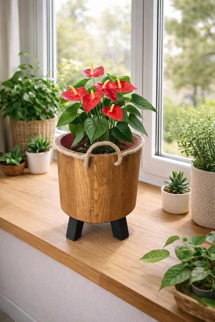 mobilya ahşap ahşap saksı yuvarlak orta boy saksılık Natural 35x22x22