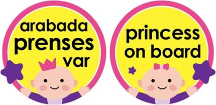 Art-094 Vakumlu Araba Cam Yazısı Pembe Pembe 8699203310942