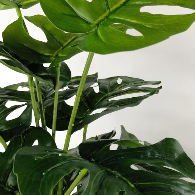 Ağaç Salon Bitkisi Monstera 70 cm 18 Yaprak Antrasit Saksıda - Görsel 3