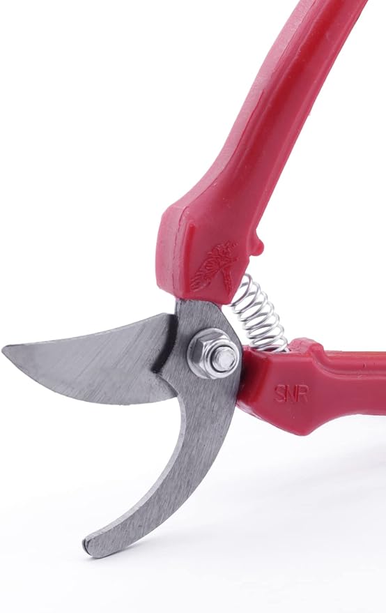 Akman Bağ Bahçe Budama Makası Eğri Uçlu – Ergonomik Saplı Çelik Bıçaklı Bahçe Budama Makası, Bitki Üzüm Narenciye Dal Kesme, Bonsai Kesiciler ve El Aleti - Görsel 2