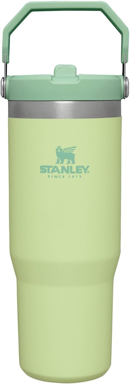 IceFlow Flip Straw Tumbler Pipetli Termos Su Şişesi 0.89 Litre - Citron | Paslanmaz Çelik